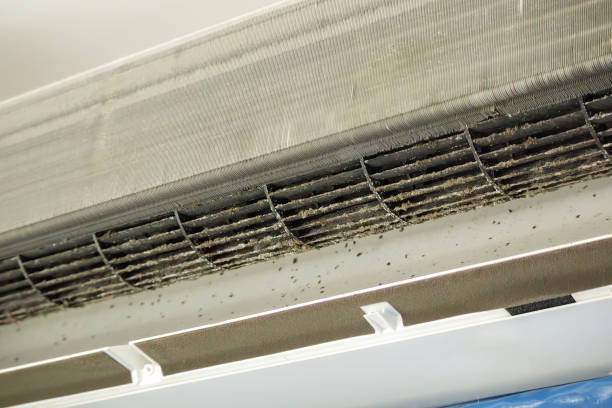 Best Affordable Air Duct Cleaning  in USA